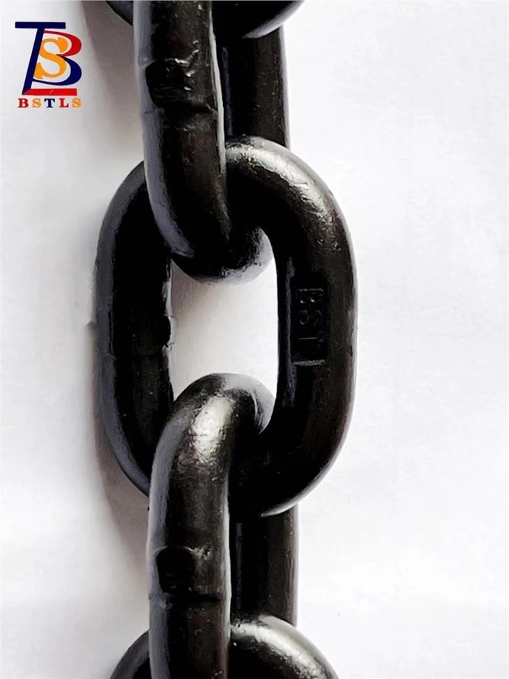 Alloy Steel 8620d G100 Lifting Chain