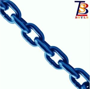 산업을 위한 G100 드는 사슬 고강도